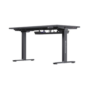 Fantech Dublin DW114 Dual-Motor Standing Desk with RGB 140 x 70 cm