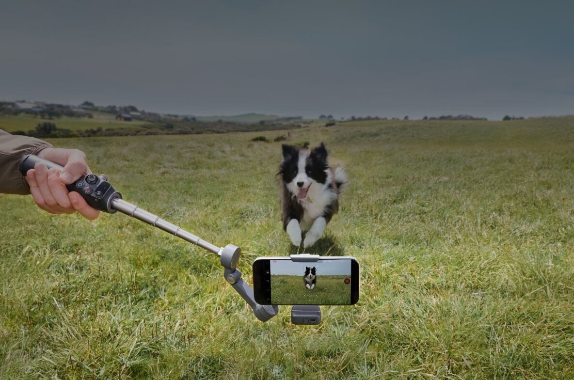 DJI Osmo Mobile 8 - Keep up with cats and dogs.