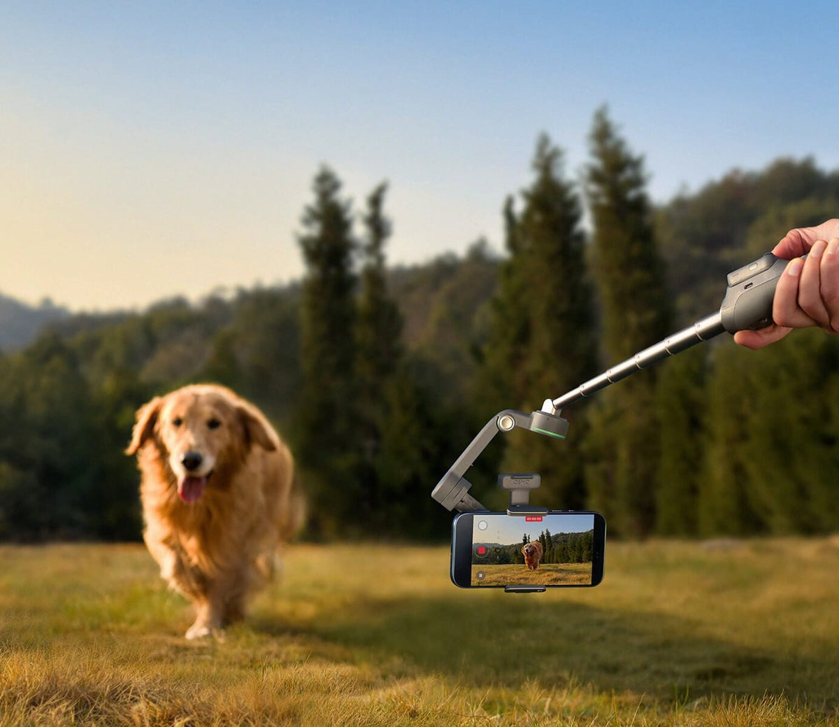 DJI Osmo Mobile 8P - See the world from their height.