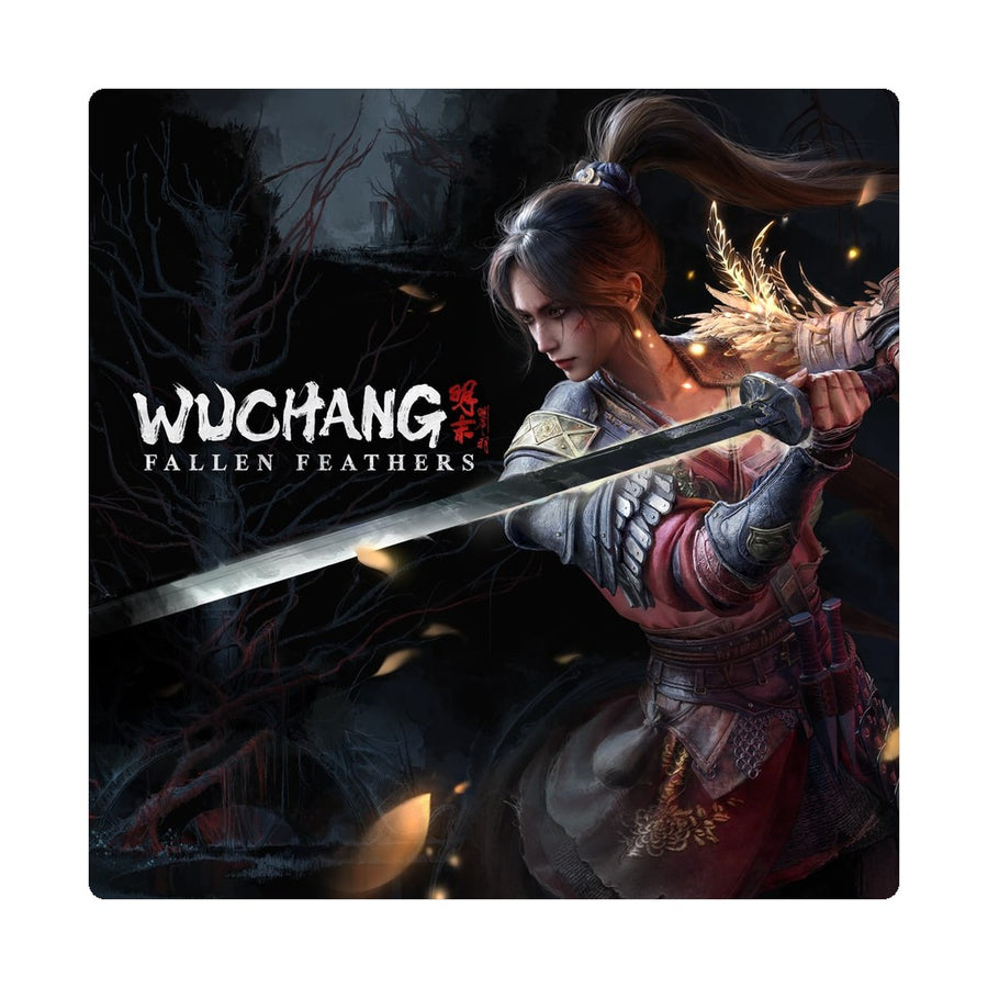 WUCHANG: Fallen Feathers (PS5) cover art