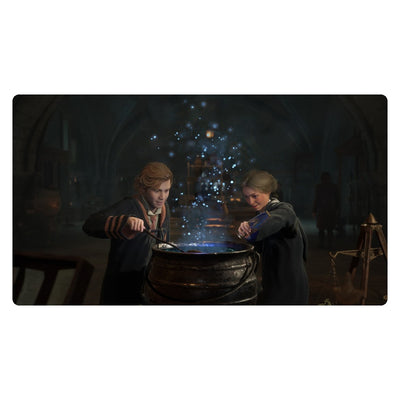 Hogwarts Legacy (PS5) official screenshot 3