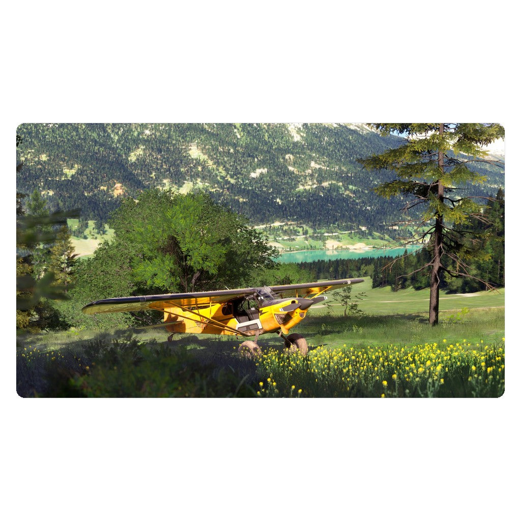 Microsoft Flight Simulator 2024 (PS5) official screenshot 4