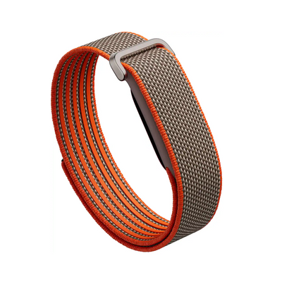 {Prebook} Google Fitbit Air