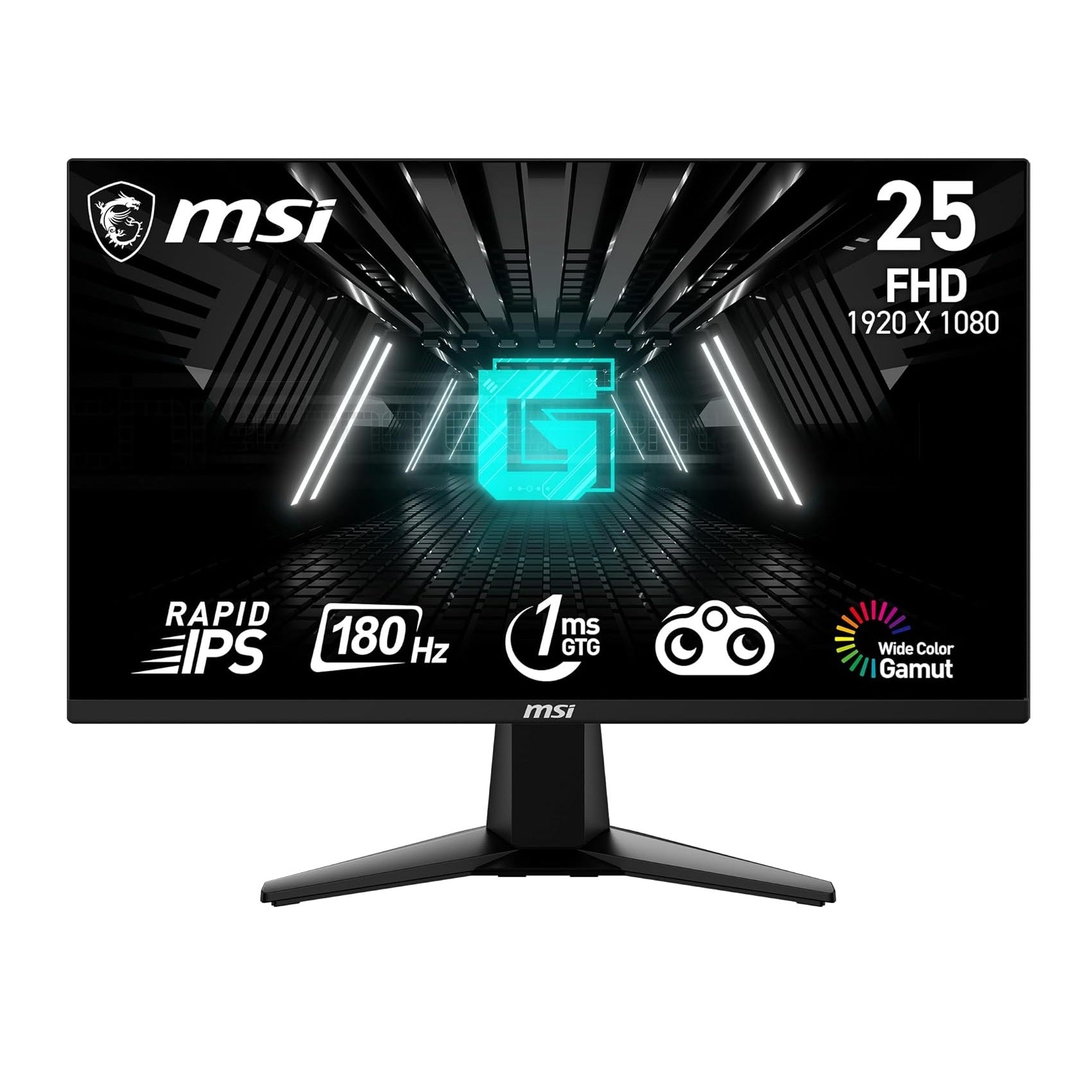 MSI G255F (25-inch FullHD Gaming Monitor, 1ms, HDR Support, 180Hz)