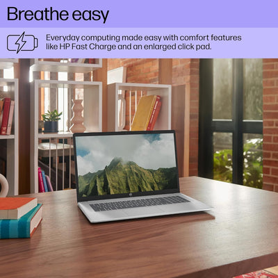 HP 17-CP3155CL (AMD RYZEN 5 7430U, 1TB NVME/16GB DDR4, 17.3" HD+ TOUCHSCREEN, AMD Radeon Graphics, WIN 11 / SILVER)