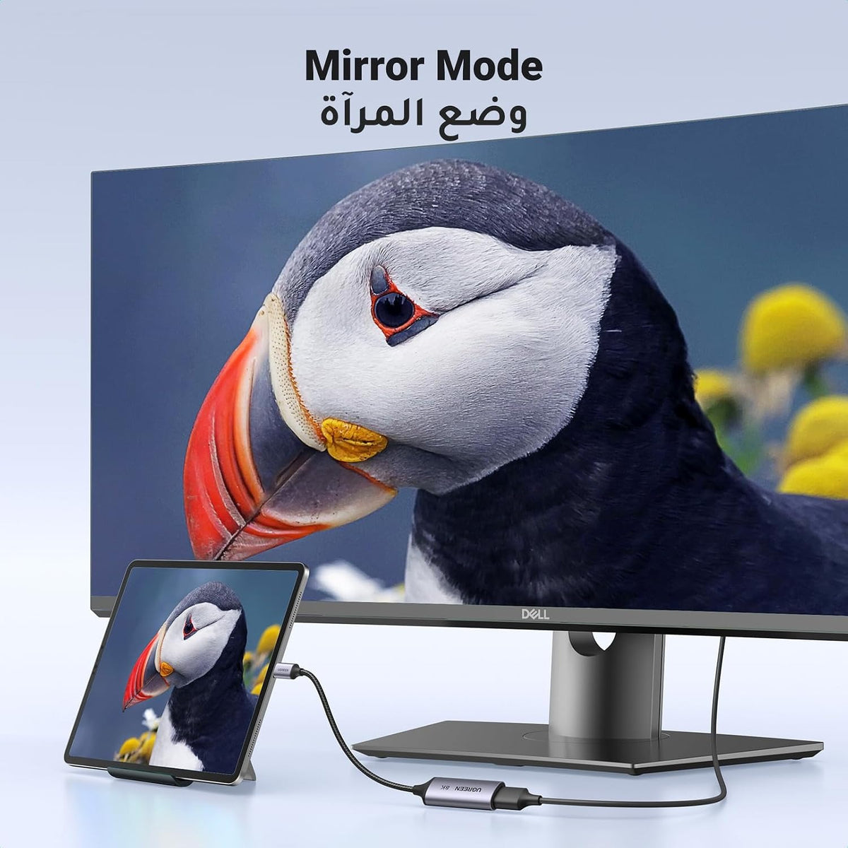 UGREEN USB-C to DisplayPort Female 8K Adapter (15575) in Lebanon - OutGeeked
