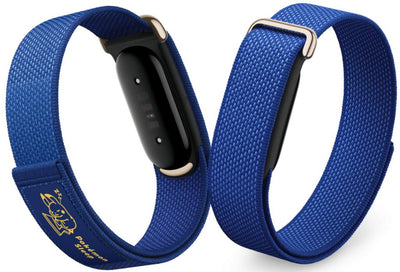 Google Fitbit Air