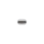 Apple Thunderbolt 3 (USB-C) to Thunderbolt 2 Adapter  – White (MMEL2)